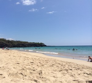 The Beauty Of Contrast