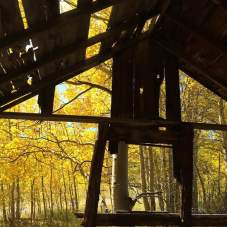 Final Theft - Literary