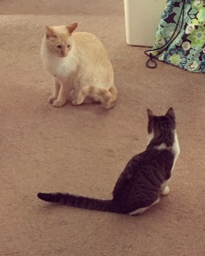 F8798311-9291-4D00-9724-C9F85AD31984